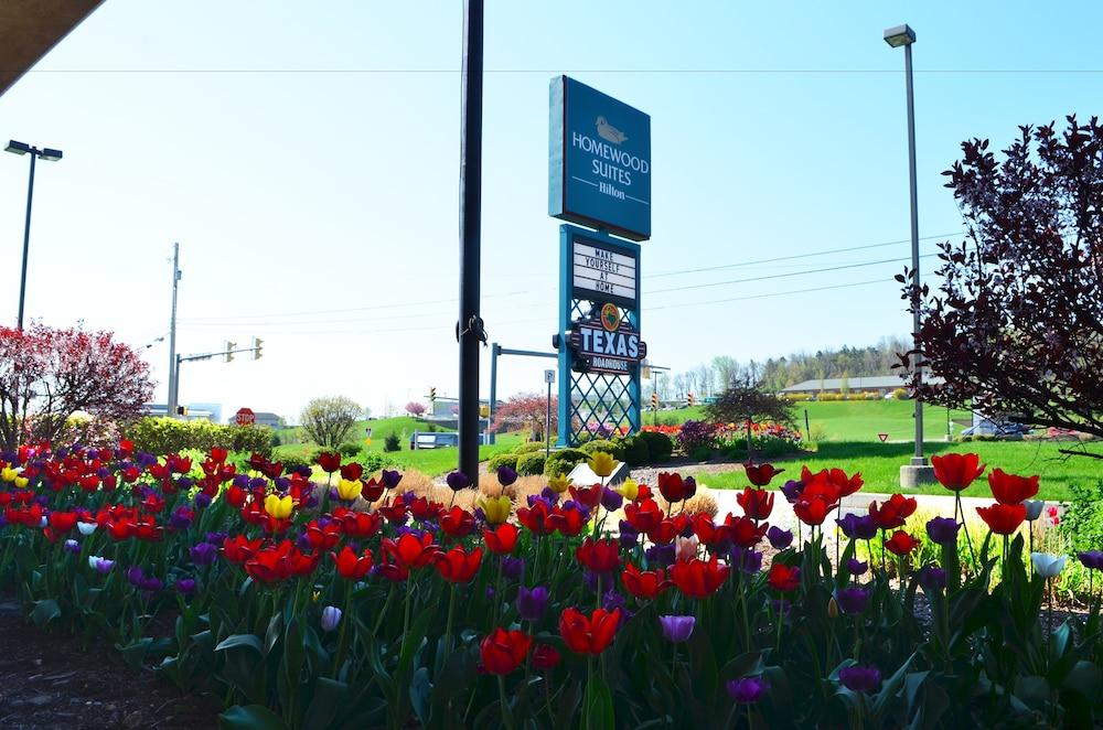 Homewood Suites By Hilton Reading-Wyomissing Εξωτερικό φωτογραφία